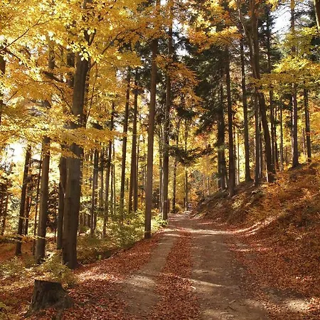 Na Plażowej Wegierska Gorka