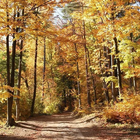 Apartament Na Plażowej *