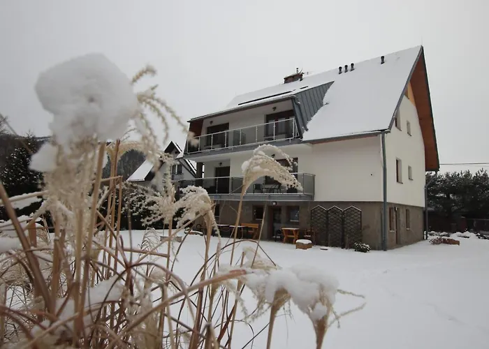 Na Plazowej Appartement