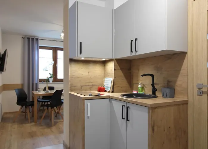 Na Plazowej 아파트 *